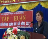 LĐLĐ huyện Bù Đăng tổ chức tập huấn công tác đoàn năm 2012.